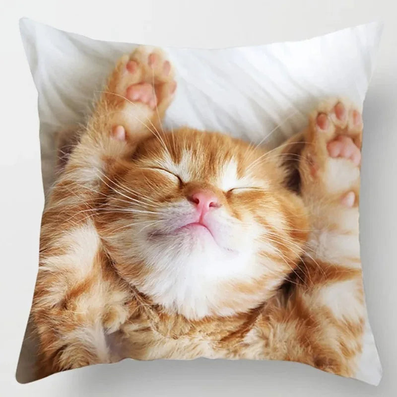 Taie d'oreiller chat