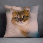 taie d oreiller motif chat - Vignette | My Store