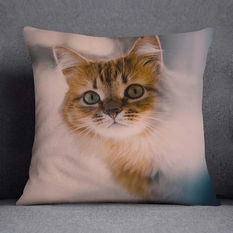 Taie d'oreiller motif chat