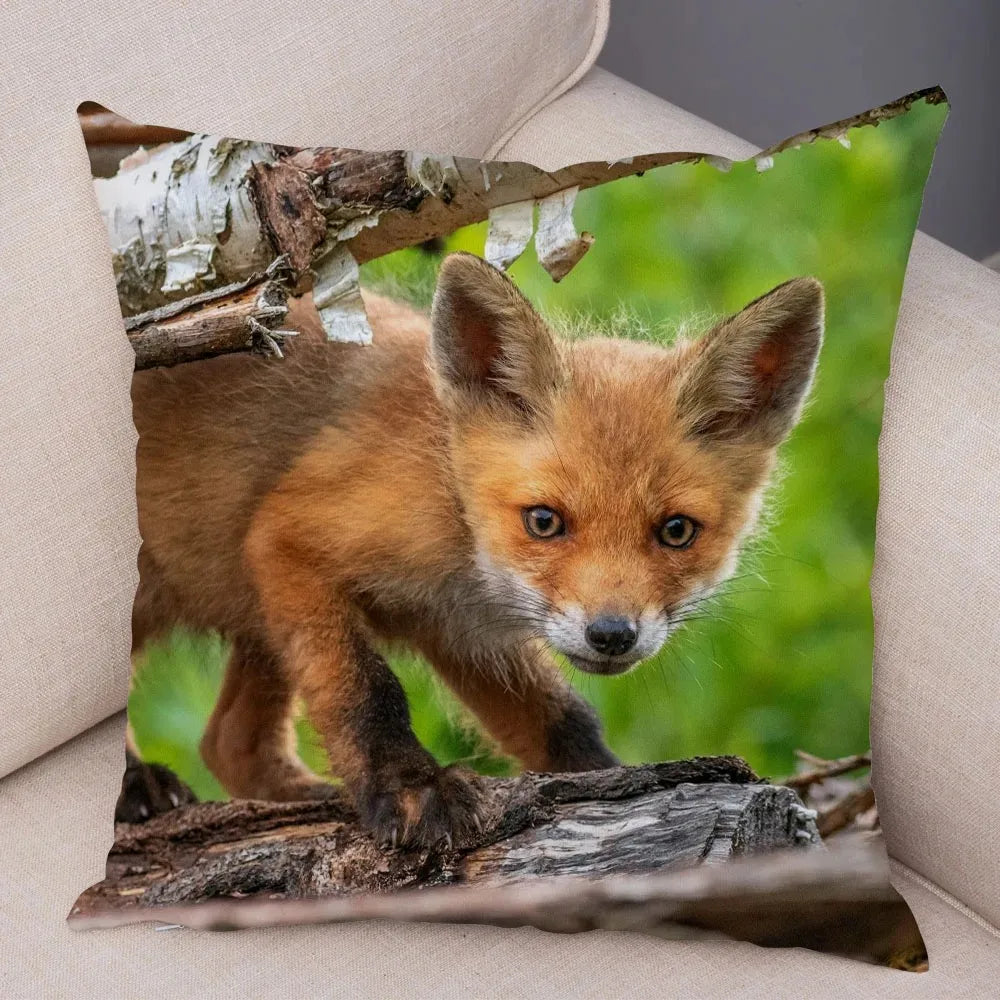 Taie d'oreiller renard